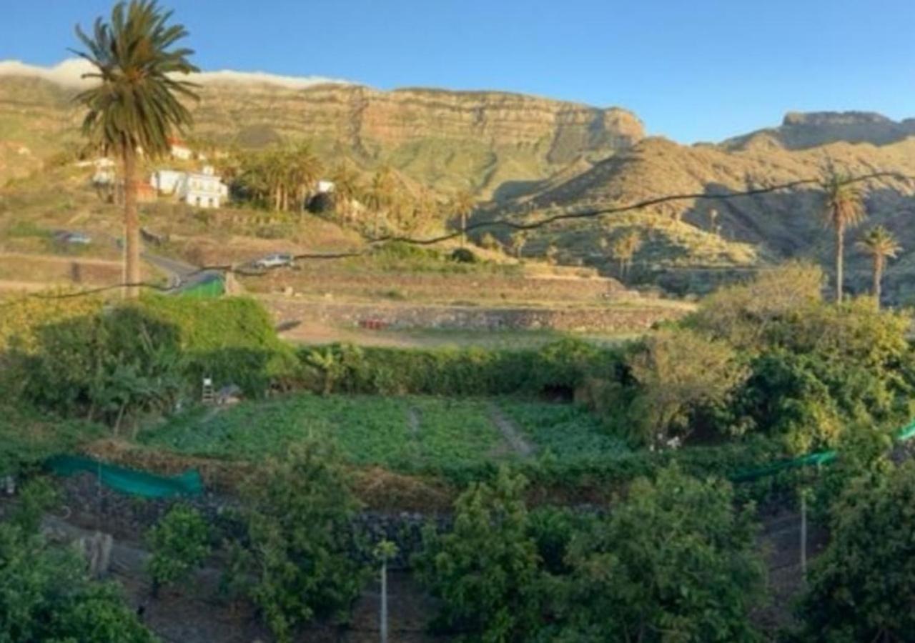 Casa Maria - Finca Medina Alojera Buitenkant foto